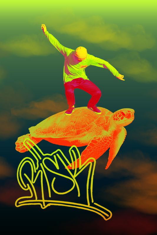 Risk Turtle